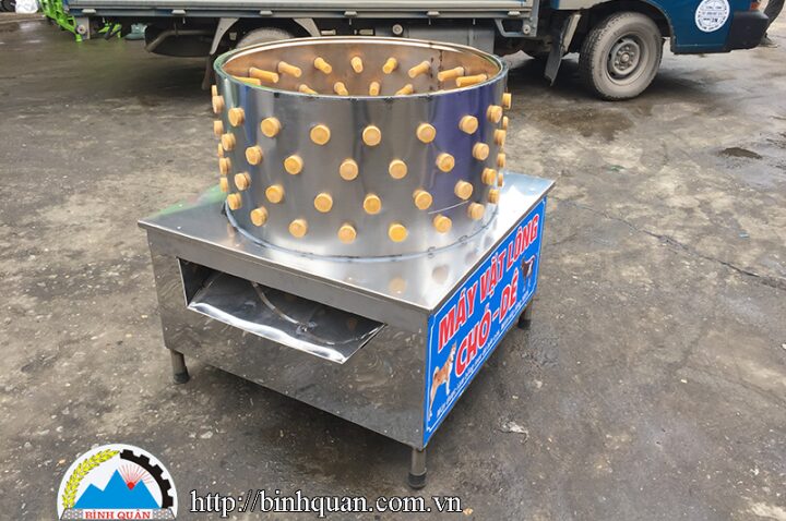 Máy móc hiện đại trong quy trình chăm sóc vật nuôi, đảm bảo vệ sinh cho chó mèo trước khi bán chó mèo giá rẻ