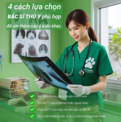 Dịch Vụ Tư Vấn Chó Mèo Online Chuyên Nghiệp Từ A-Z