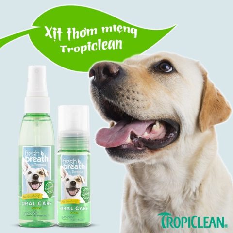Xịt Thơm Miệng Cho Chó: Giải Pháp Hơi Thở Thơm Mát Toàn Diện