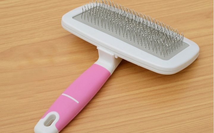 Lược chải lông cho chó: Hướng dẫn chọn và sử dụng hiệu quả