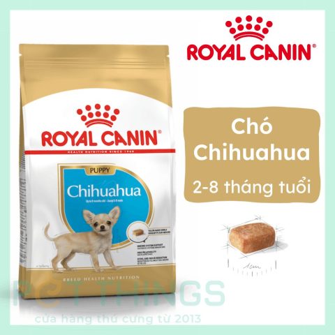 Thức Ăn Cho Chó Chihuahua: Hướng Dẫn Dinh Dưỡng Toàn Diện
