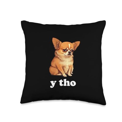 Bán Chó Chihuahua Cần Thơ: Giá Cả, Nguồn Gốc và Kinh Nghiệm Chọn Mua