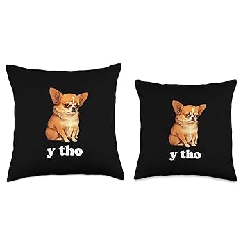 Bán Chó Chihuahua Cần Thơ: Giá Cả, Nguồn Gốc và Kinh Nghiệm Chọn Mua