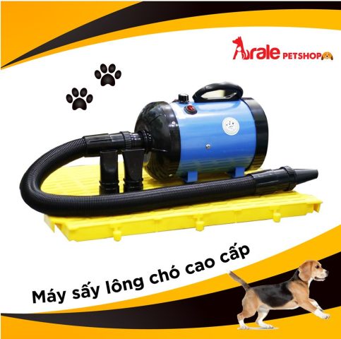 Máy Sấy Lông Chó 2800W: Sức Mạnh và Hiệu Quả Vượt Trội