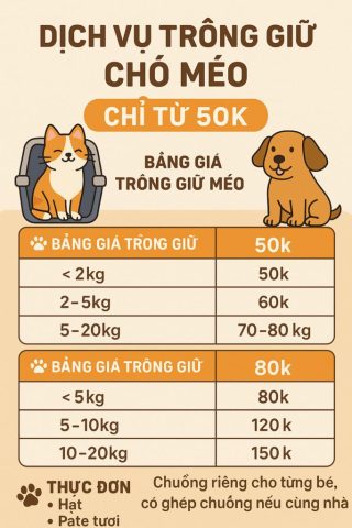 Kinh Nghiệm Chọn Dịch Vụ Giữ Chó Giá Rẻ Hà Nội: Đảm Bảo Chất Lượng và An Toàn Giữ Chó Giá Rẻ Hà Nội: Dịch Vụ Chăm Sóc Toàn Diện, Uy Tín