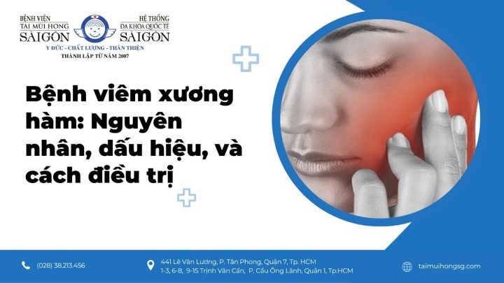Viêm Đường Tiết Niệu Ở Chó: Nguyên Nhân, Triệu Chứng Và Cách Điều Trị Hiệu Quả
