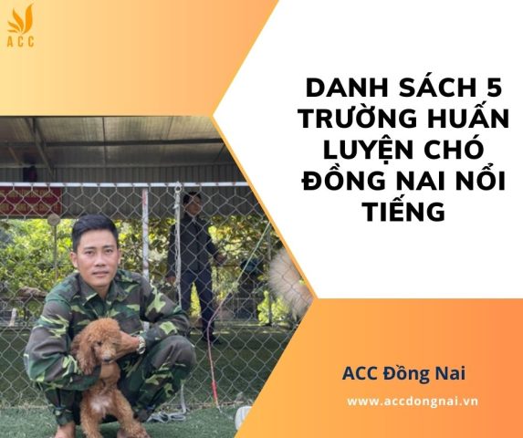 Huấn Luyện Chó Đồng Nai: Chọn Trung Tâm Uy Tín & Hiệu Quả