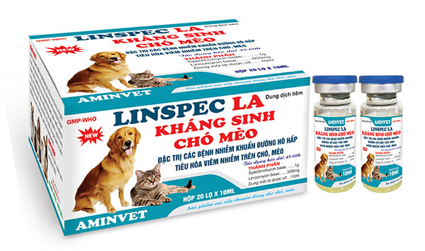 Kháng Sinh Chó Cao Cấp: Lựa Chọn Và Sử Dụng Hiệu Quả