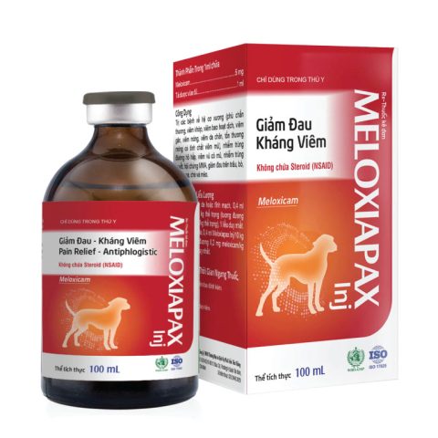 Thuốc Trị Viêm Khớp Cho Chó: Hướng Dẫn Toàn Diện Từ A Đến Z