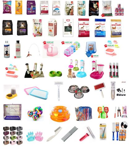 Shop Phụ Kiện Chó Mèo: Địa Chỉ Tin Cậy Cho Thú Cưng