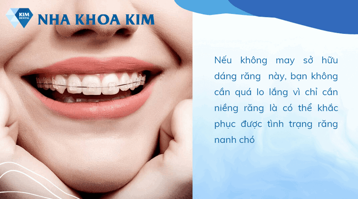 Quy trình lấy cao răng cho chó tại phòng khám Khắc phục răng chó trong nha khoa