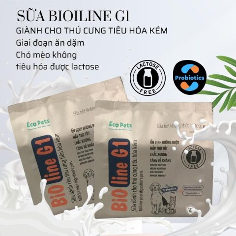 Sữa Thay Thế Sữa Mẹ Cho Chó: Lựa Chọn & Sử Dụng Chuẩn