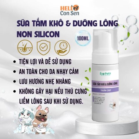 Sữa Tắm Chó Joyce Dolls: Giải Pháp Vệ Sinh Toàn Diện Không Cần Nước