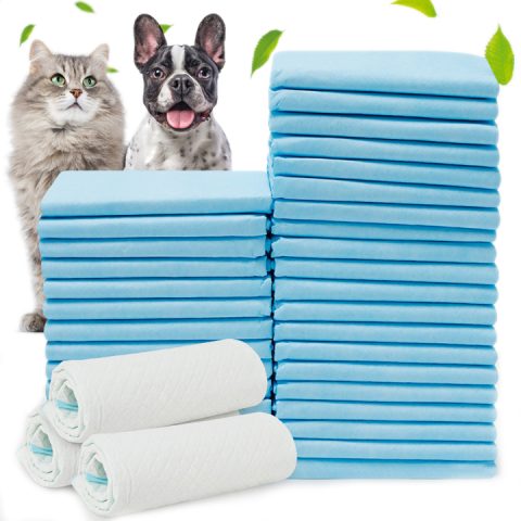 Thảm Cho Chó Đi Vệ Sinh: Hướng Dẫn Toàn Diện Từ A Đến Z