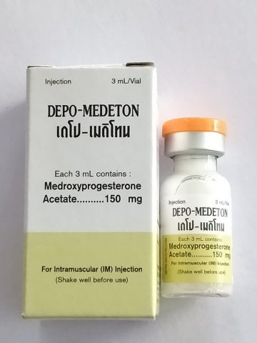 Triệt Sản Chó Mèo Miễn Phí: Lợi Ích Toàn Diện và Cách Thức Tham Gia Chương Trình
