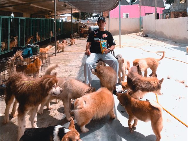 Làm Giàu Từ Nuôi Chó: Hướng Dẫn Kinh Doanh Chi Tiết