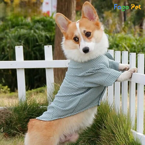 Áo sơ mi kẻ caro cho chó Corgi phong cách, thoải mái