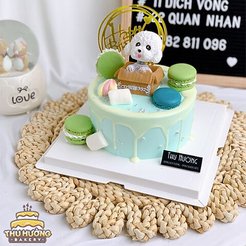 Bánh sinh nhật trang trí hộp quà chú chó con dễ thương