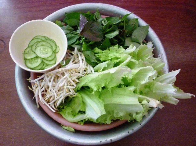 Bệnh Giun Đũa Chó Nên Kiêng Ăn Gì: Hướng Dẫn Chi Tiết