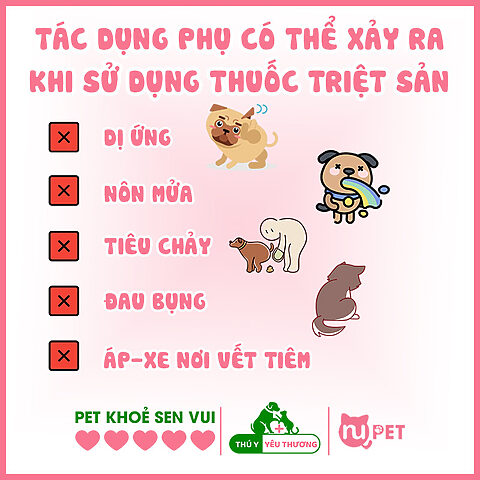 Biểu đồ hoặc hình ảnh minh họa các tác dụng phụ của thuốc triệt sản chó đực