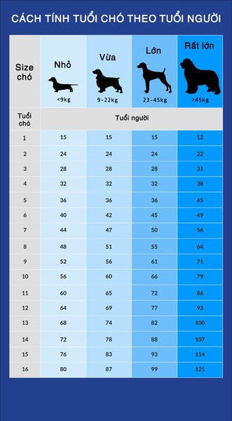 Cách Tính Tuổi Của Chó: Hướng Dẫn Chi Tiết & Khoa Học