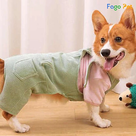 Bộ quần áo yếm denim ngộ nghĩnh tăng vẻ đáng yêu cho chó Corgi