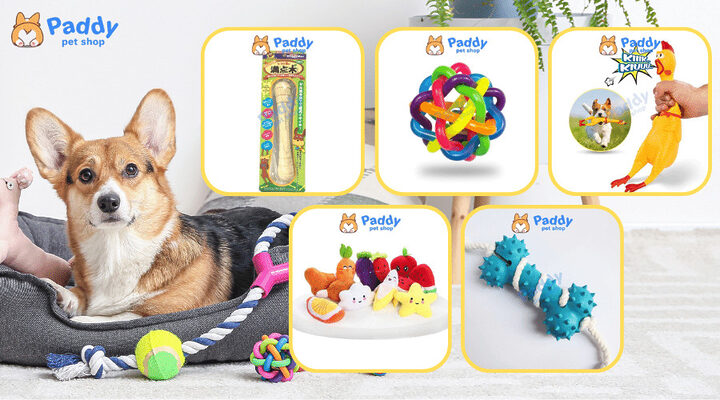 Bộ sưu tập đồ chơi cho chó cắn với nhiều hình dáng và chất liệu khác nhau Bộ sưu tập đồ chơi cho chó cắn với nhiều hình dáng và chất liệu khác nhau