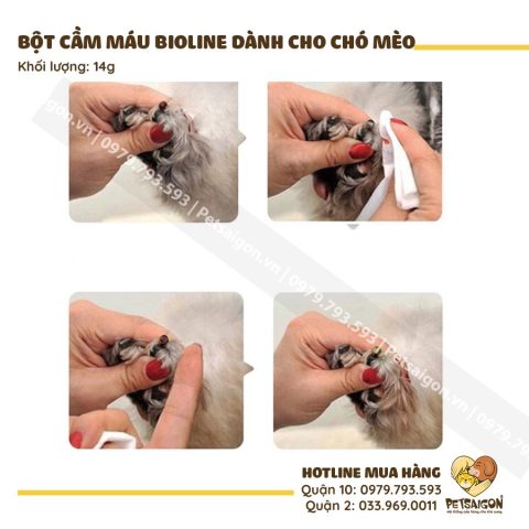 Bột Cầm Máu Cho Chó: Hướng Dẫn Toàn Diện Từ A-Z