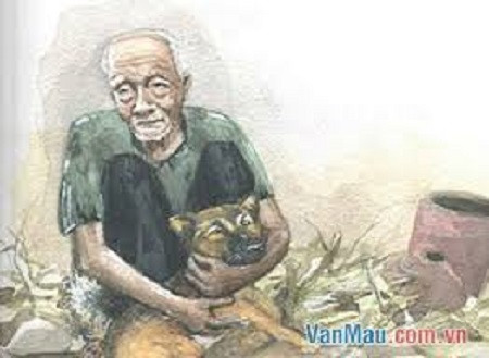 Bức ảnh một chú chó cảnh giác, với đôi mắt nhìn thẳng, tạo cảm giác đáng sợ và bí ẩn