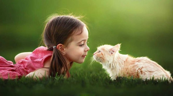 Bức ảnh trẻ em vui đùa với động vật, thể hiện tình yêu thương và sự gắn kết