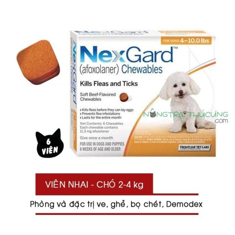 Thuốc Trị Ve Ghẻ Cho Chó Hiệu Quả Nhất Hiện Nay