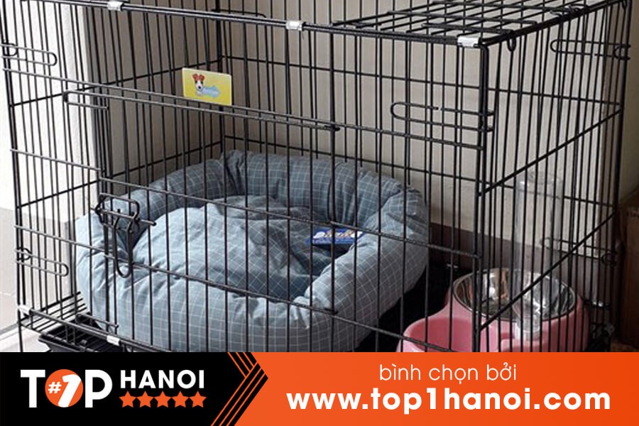 Các mẫu chuồng chó đẹp và chất lượng tại cửa hàng chó cảnh ở Hà Nội