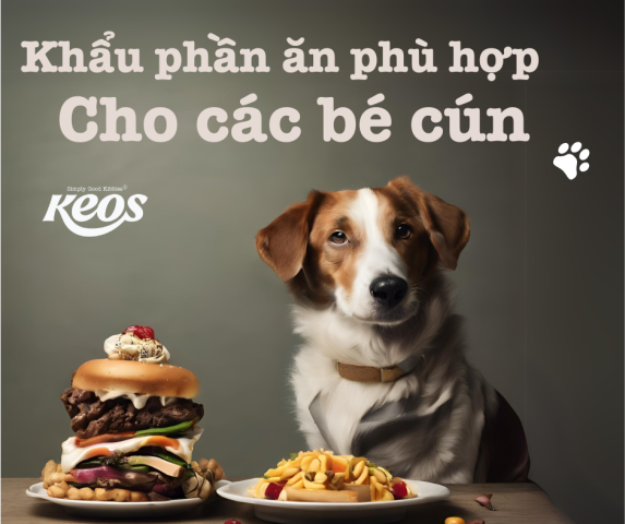 Khẩu Phần Ăn Cho Chó Con: Hướng Dẫn Chi Tiết Từ A-Z - image 3