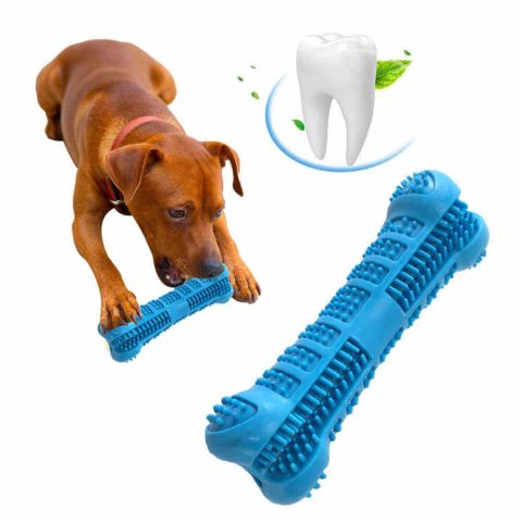 Đồ Chơi Gặm Cho Chó: Lợi Ích & Cách Chọn An Toàn