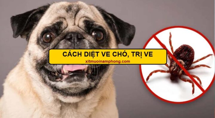 Diệt Ve Chó Bằng Băng Phiến: Hướng Dẫn Chi Tiết Và An Toàn