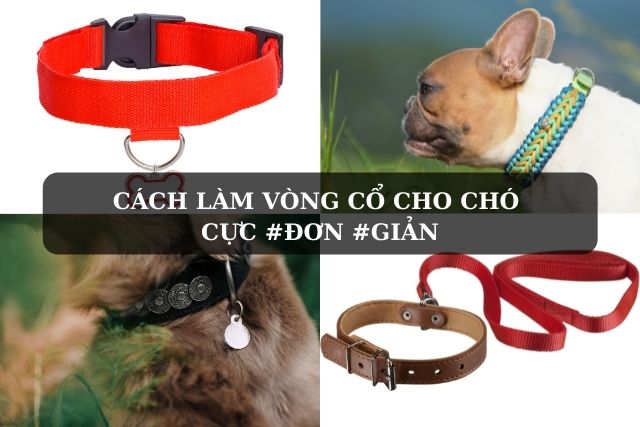 Cách Làm Vòng Cổ Handmade Cho Chó Đẹp, Bền và An Toàn