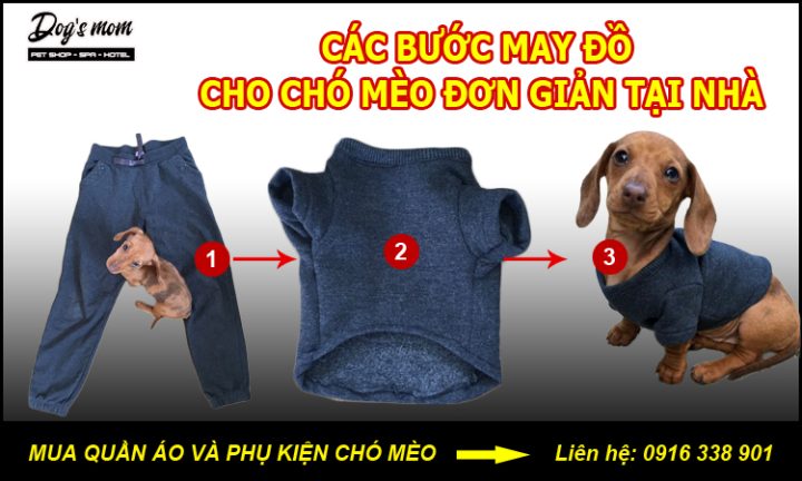 Hướng Dẫn May Áo Cho Chó Mèo Tại Nhà Đơn Giản, Độc Đáo