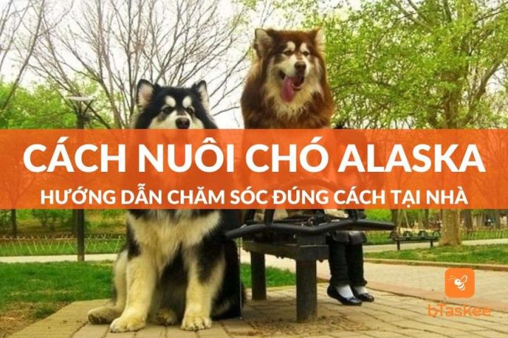Nuôi Chó Con Đúng Cách: Hướng Dẫn Toàn Diện Từ A-Z