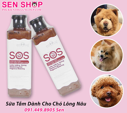 Chai sữa tắm SOS dành riêng cho chó Poodle nâu giúp lông mềm mượt và sáng màu