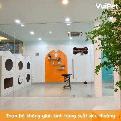 Chăm sóc lông cho giống chó lông xù trắng tại spa chuyên nghiệp