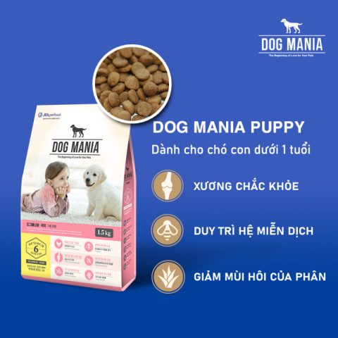 Chế độ dinh dưỡng toàn diện cho chó con