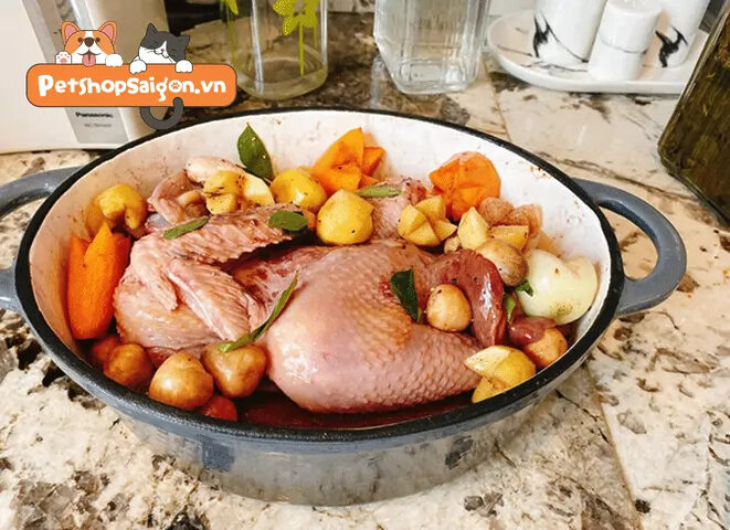 Chó ăn từ tô, chuẩn bị bữa ăn đầy đủ dinh dưỡng