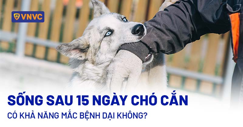 Nhà Nuôi Chó Hay Bị Chết: Nguyên Nhân Và Giải Pháp Hiệu Quả