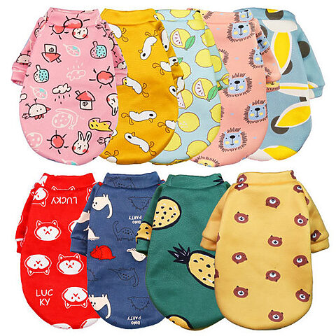Chó con mặc áo ấm họa tiết, thể hiện sự quan tâm đến sức khỏe thú cưng khi mua từ shop bán chó mèo giá rẻ uy tín.