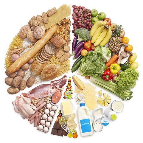 Chó cưng thưởng thức bữa ăn ngon miệng trong nhà mới