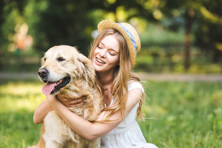 Chó Golden Retriever