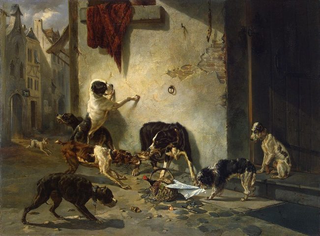 Chó mang thức ăn về cho chủ