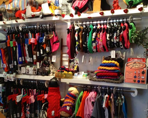 Chó mèo con vui vẻ tại cửa hàng, biểu tượng của các shop bán chó mèo giá rẻ.