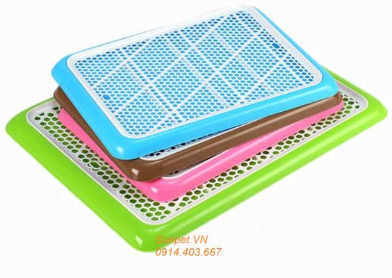 Chó nằm trên khay vệ sinh thành thấp màu xanh, minh họa sự tiện lợi khi nên mua khay vệ sinh cho chó loại nào cho chó nhỏ.