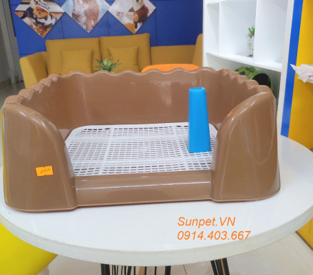 Chó Poodle ngồi gọn trong khay vệ sinh dạng lưới, minh họa việc lựa chọn nên mua khay vệ sinh cho chó loại nào phù hợp với kích thước.